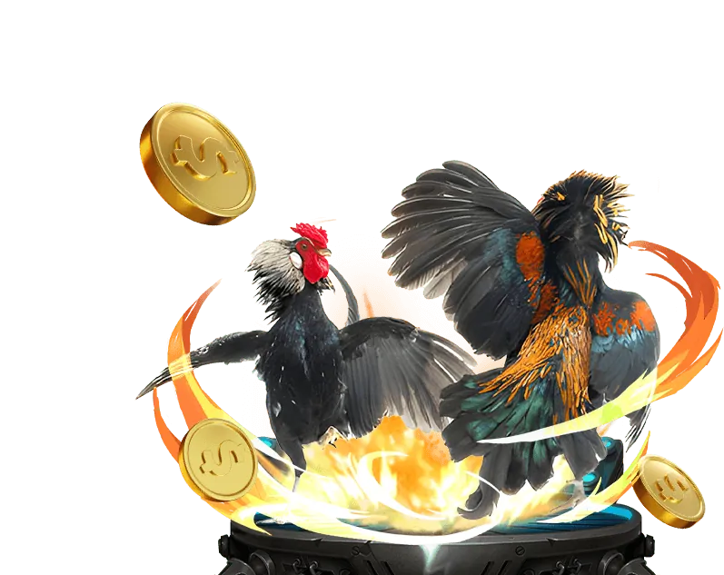 Minh họa đa dạng các loại khuyến mãi